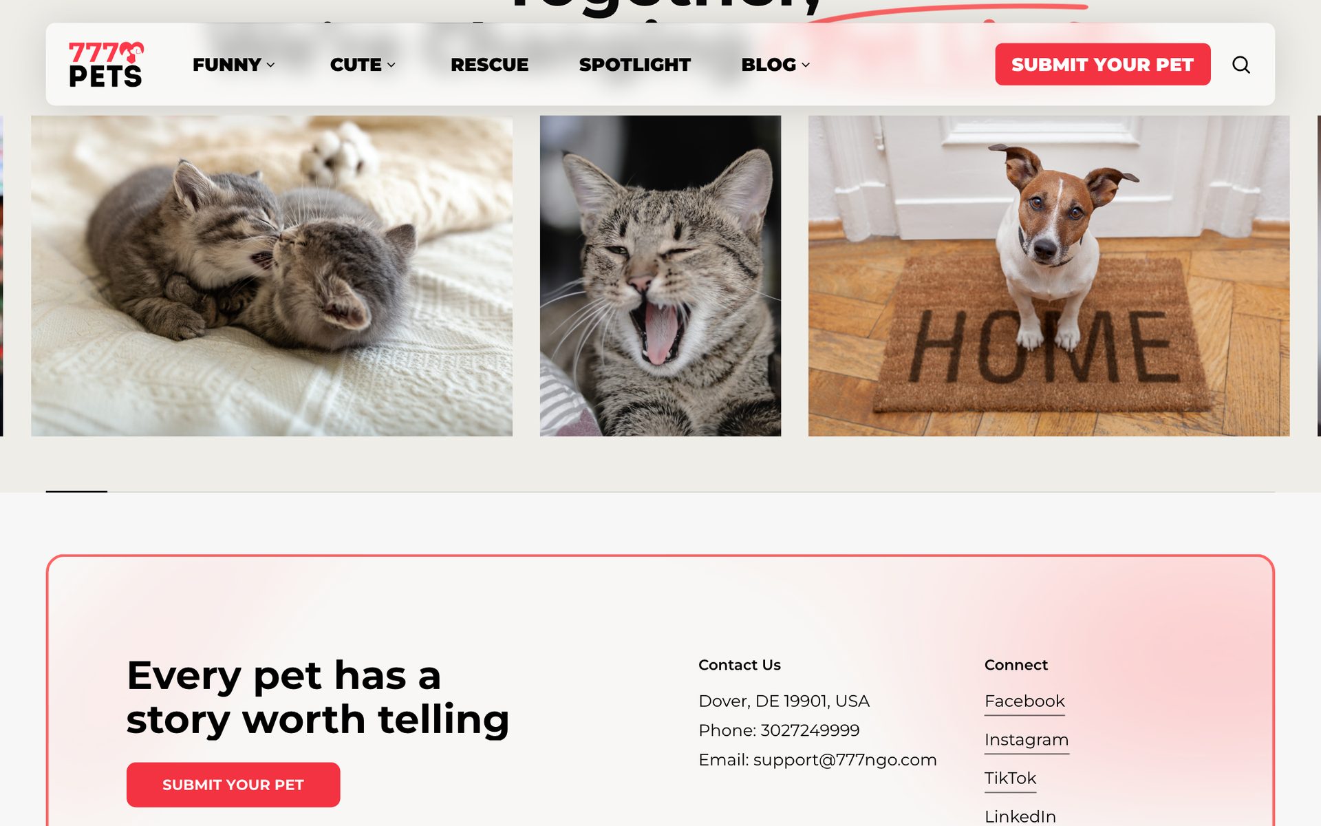 777 Pets — screen 3