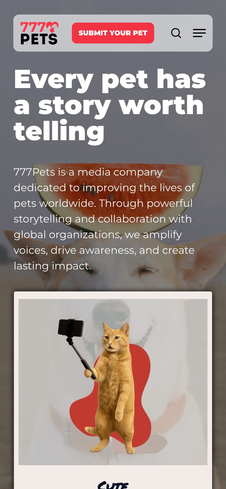 777 Pets — mobile screen 1
