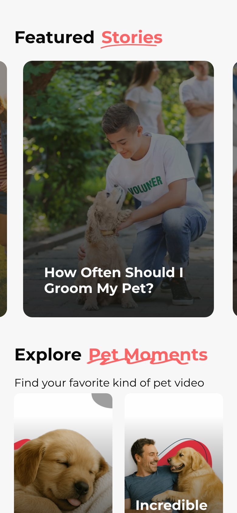 777 Pets — mobile screen 2