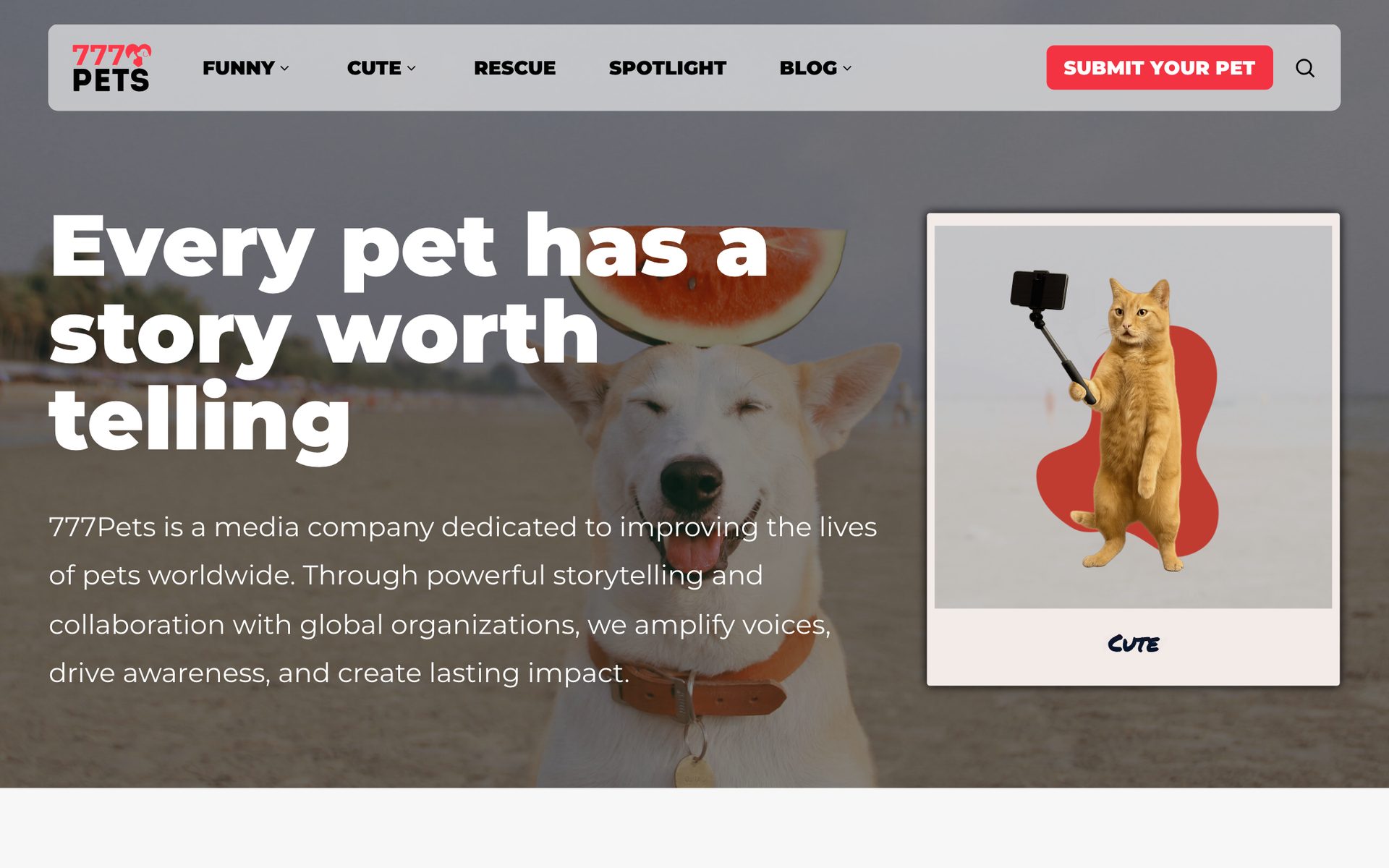 777 Pets — Store
